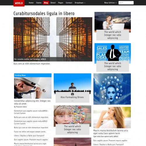 Use for Travel, News, Magazine, Corporate web themes Blog Page