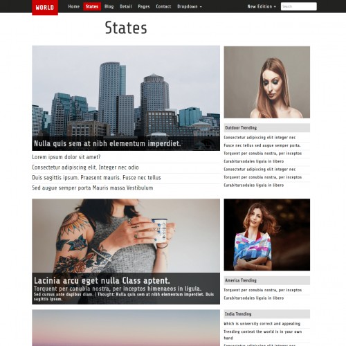 World news, International news, Corporate news website theme States Page