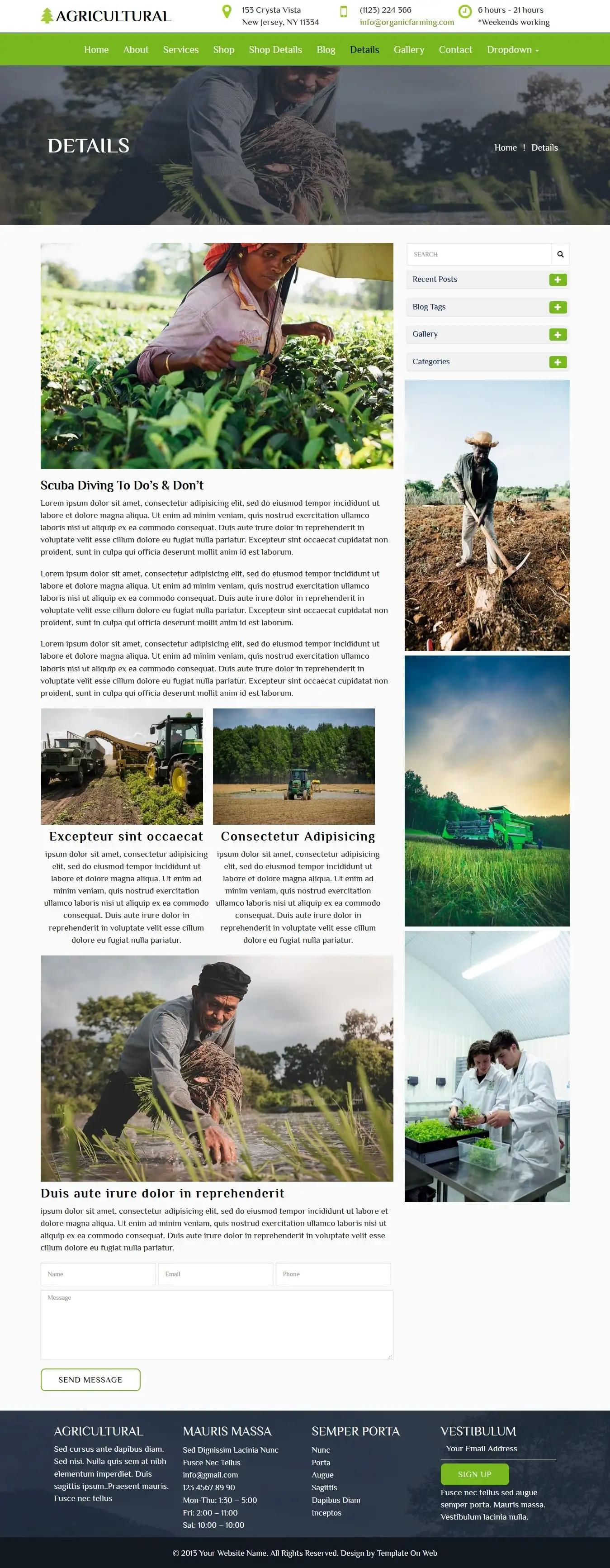 Preparation of plant and products blog detail html