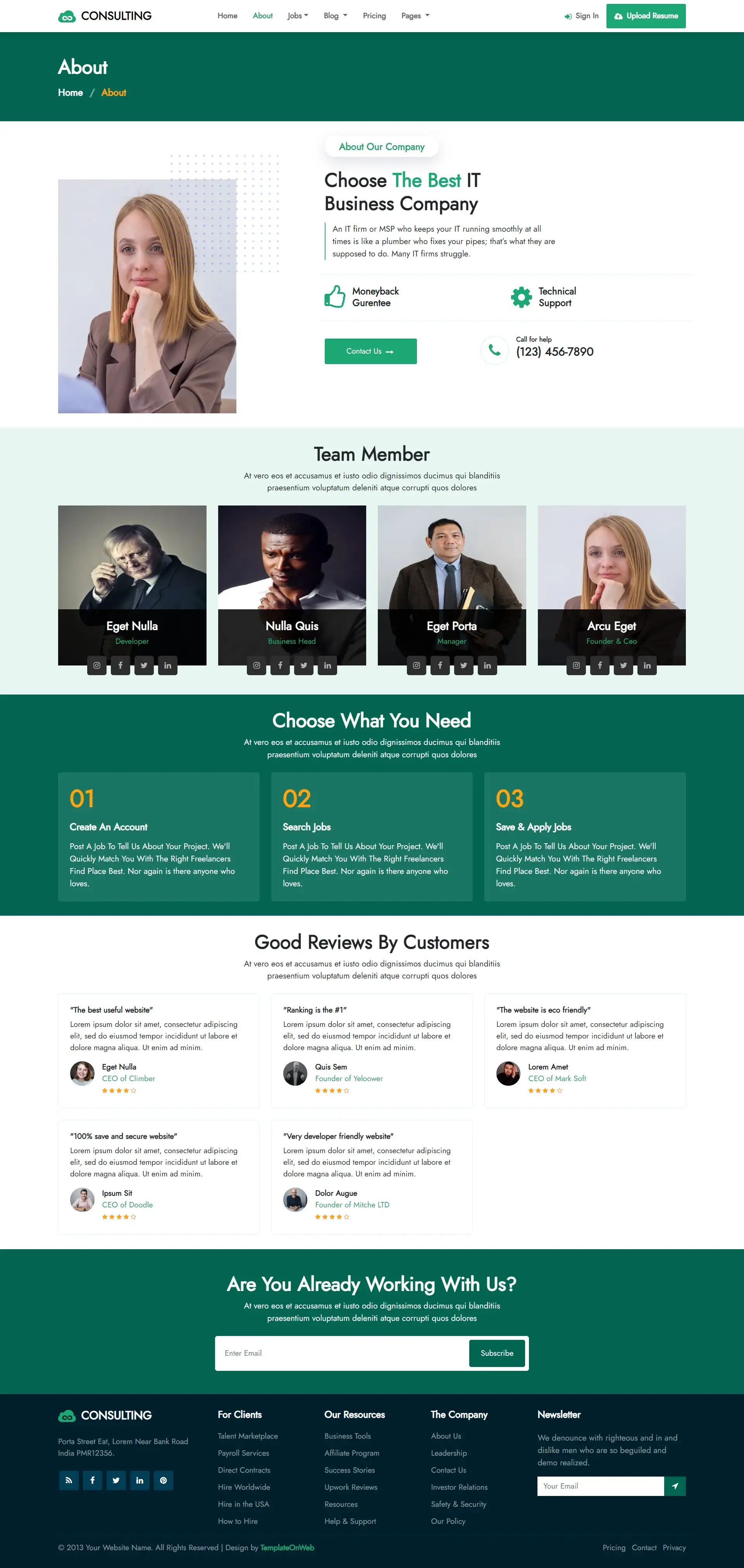 IT consulting company details