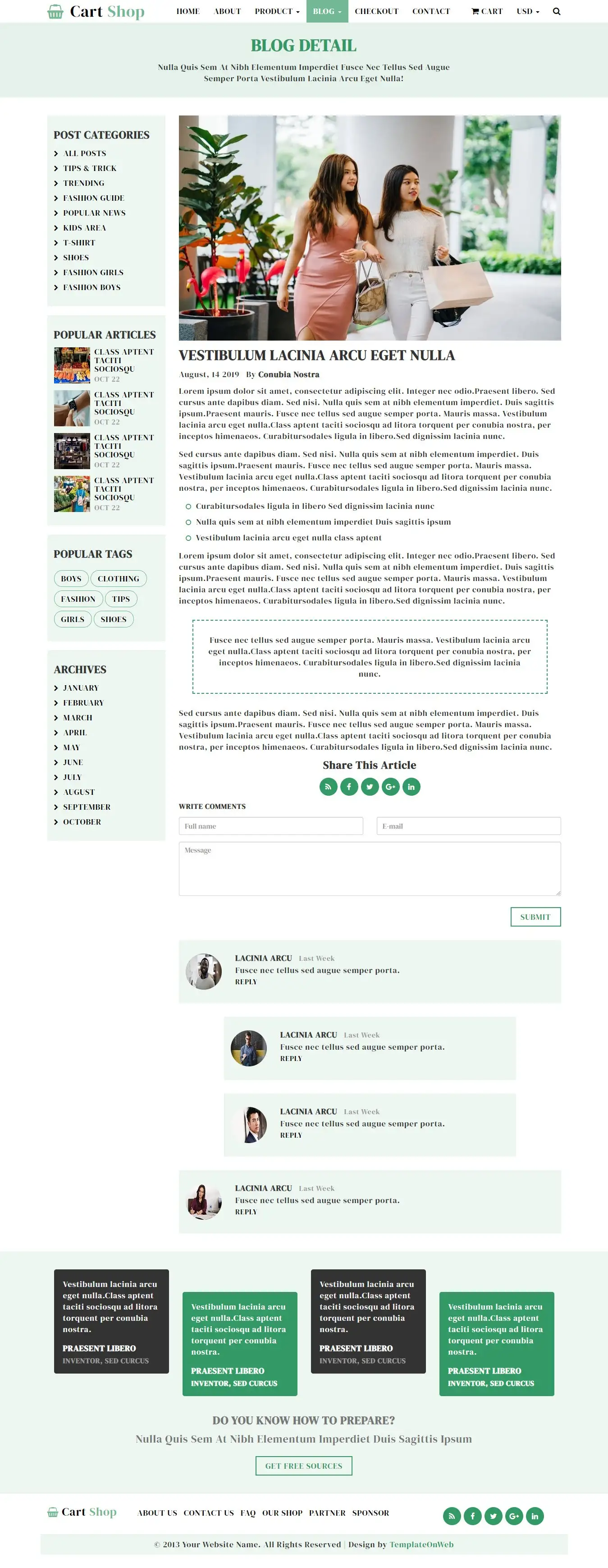 Shopping cart company blog details web design