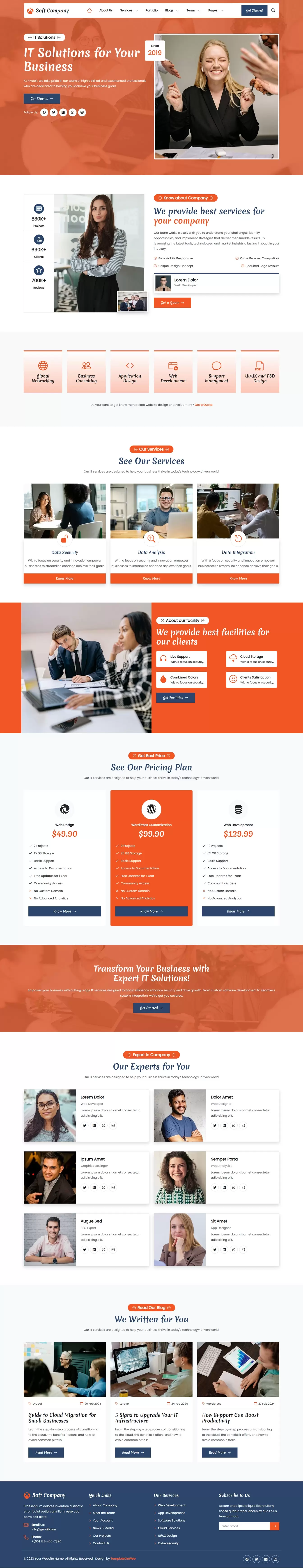 Software development business theme home page