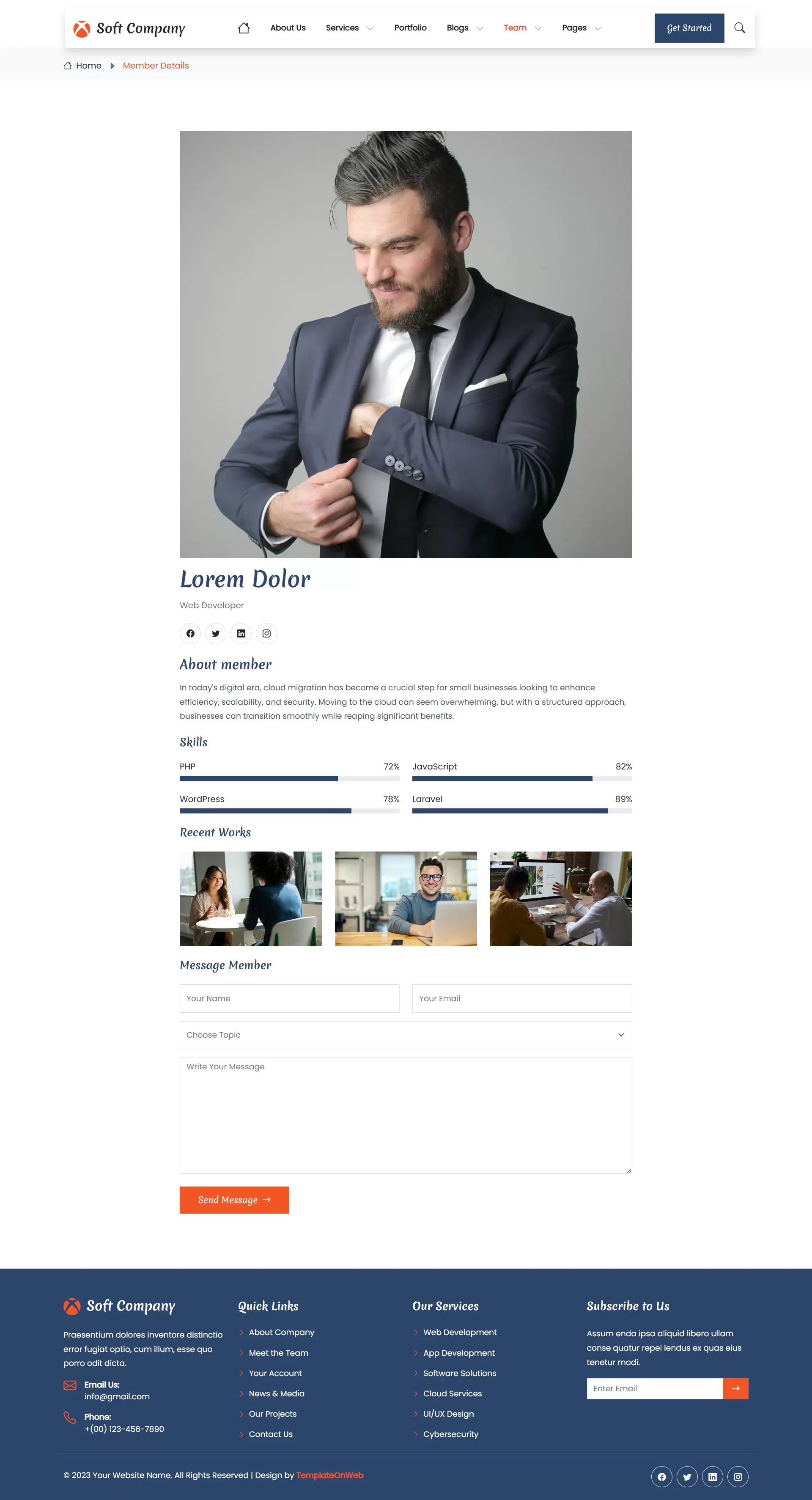 Software developer expertise details
