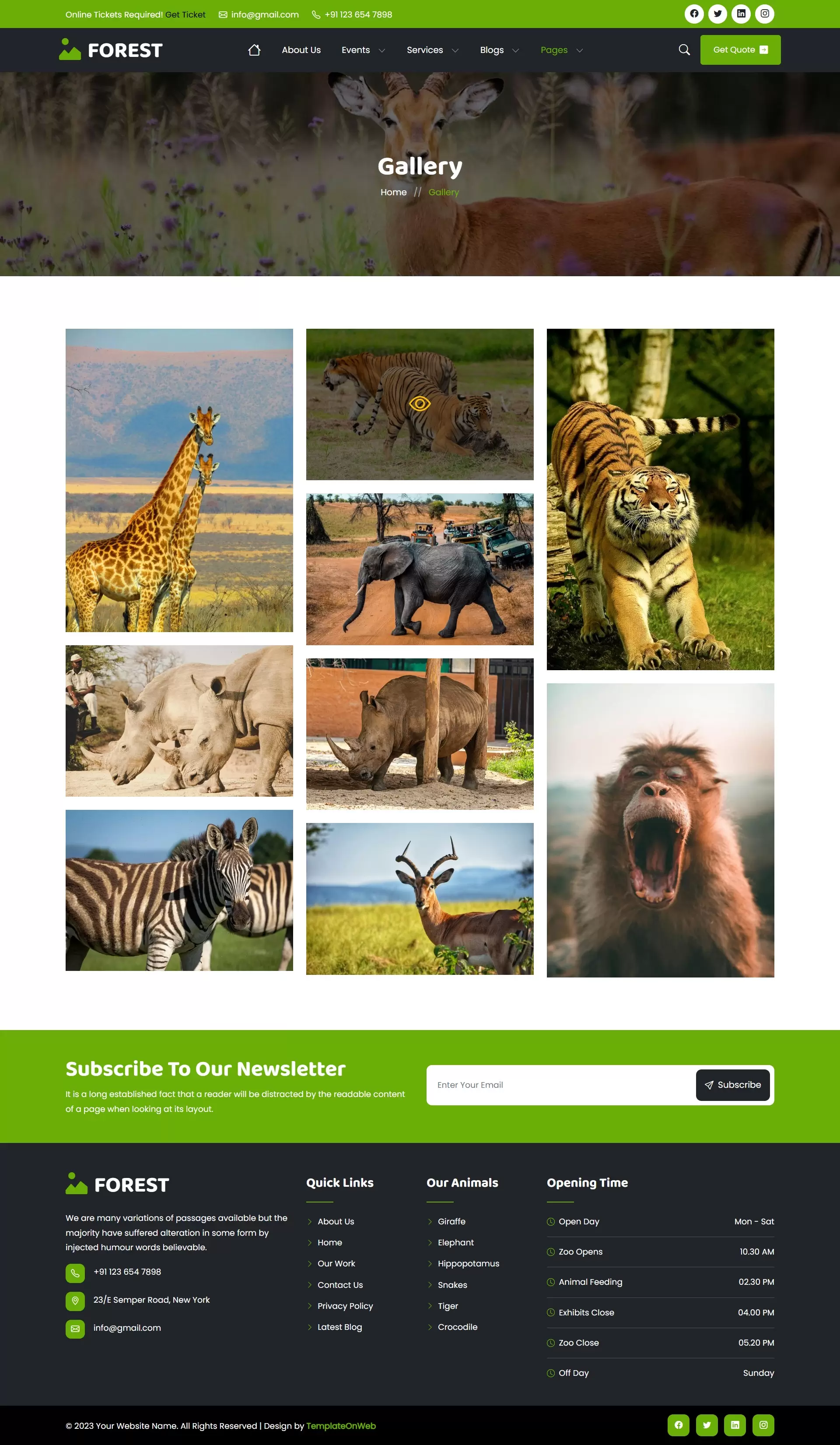 Jungle safari photo gallery with lightbox