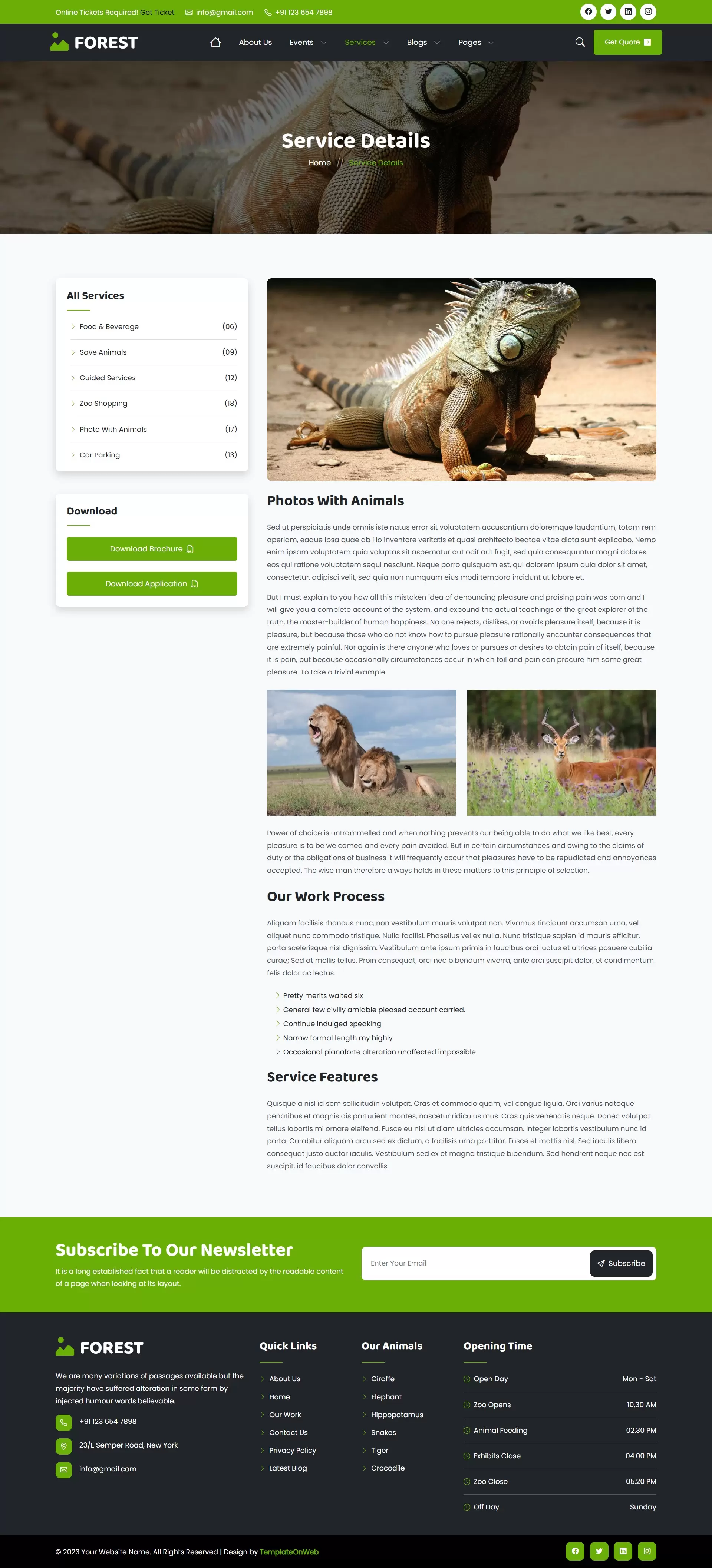 Clean and responsive design of the service details page