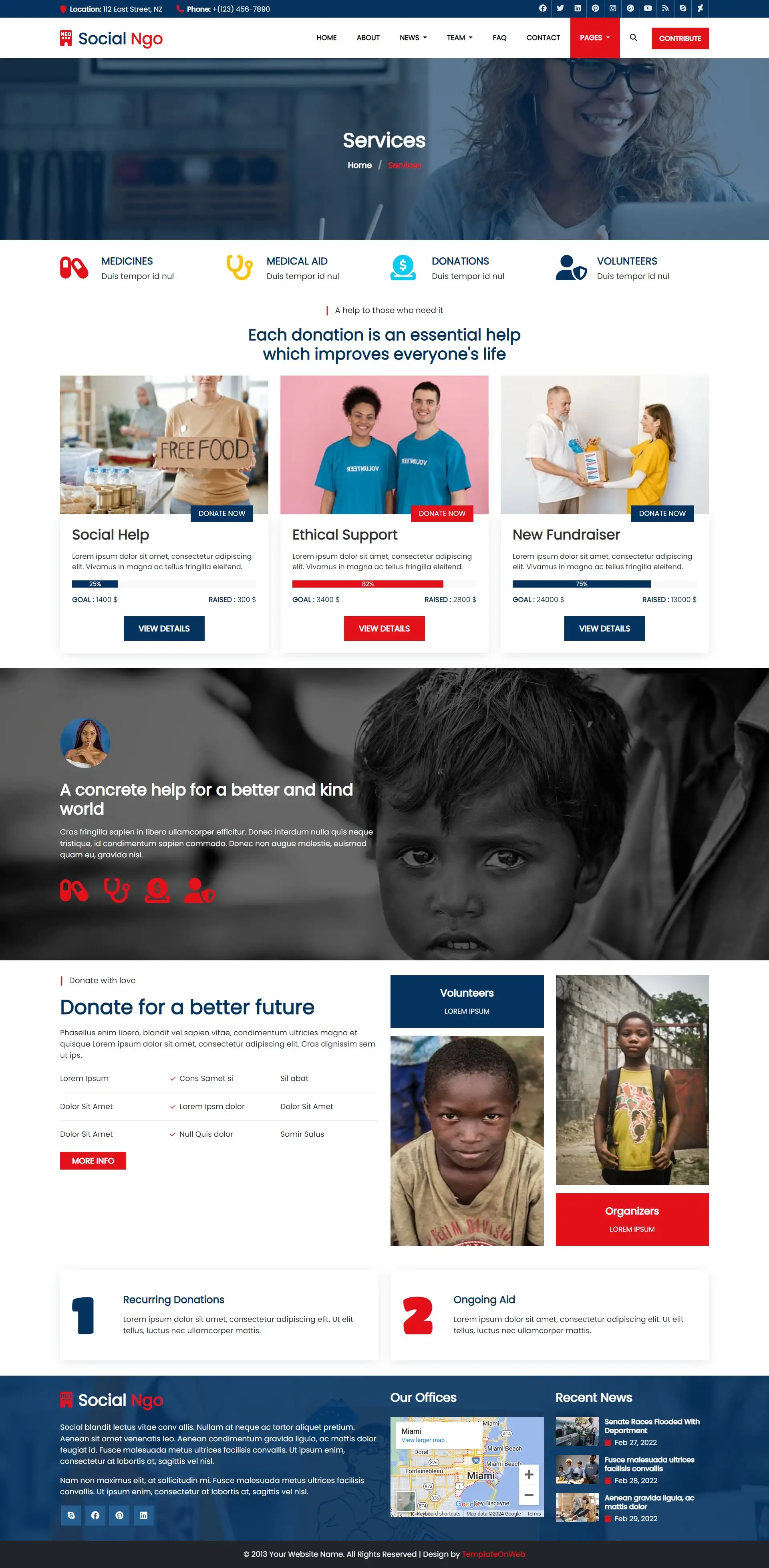 Civil society organization services page html