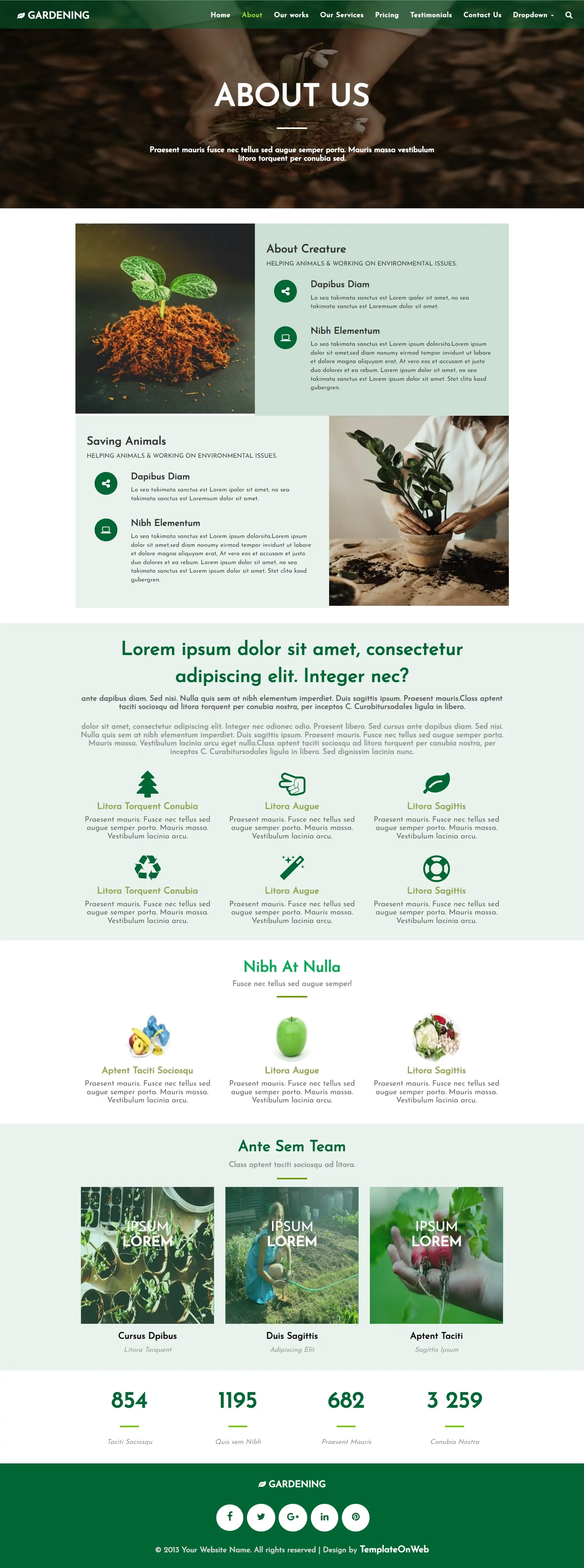 Gardener template about us web page