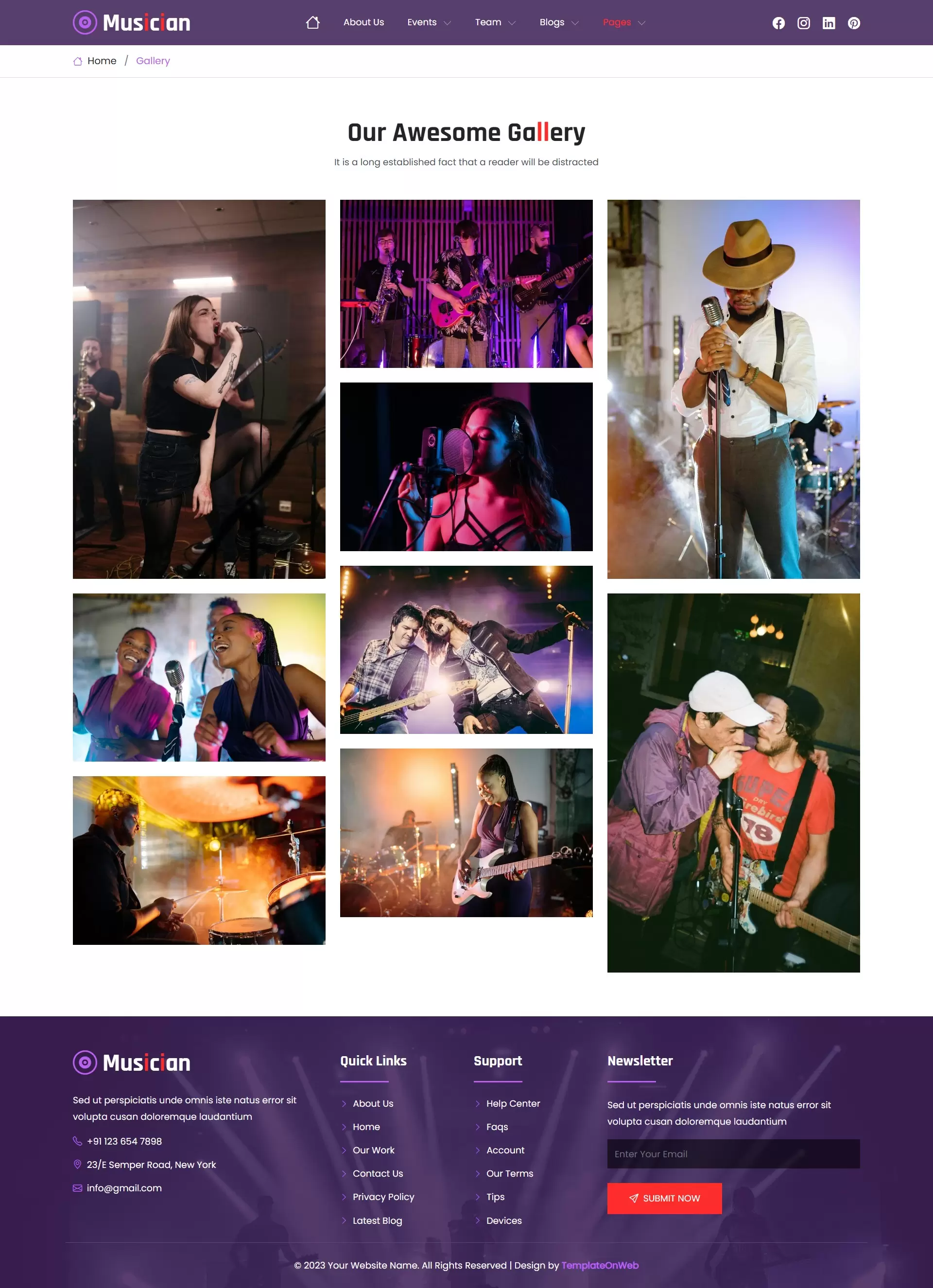 Musician website gallery page with concert and studio photos