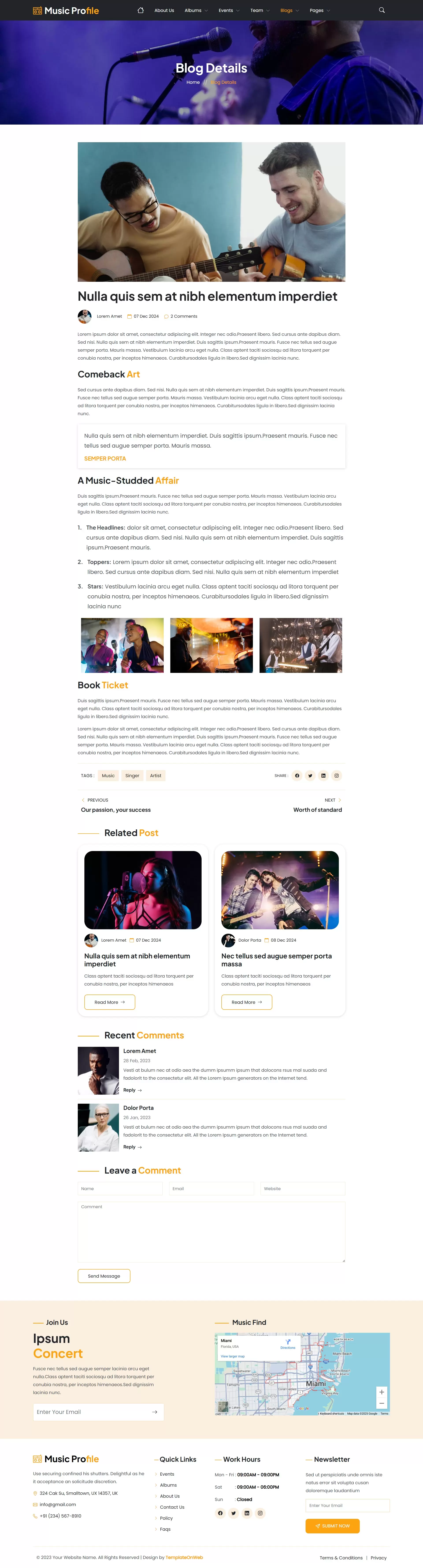 Responsive blog details section featuring music articles, interviews, and announcements