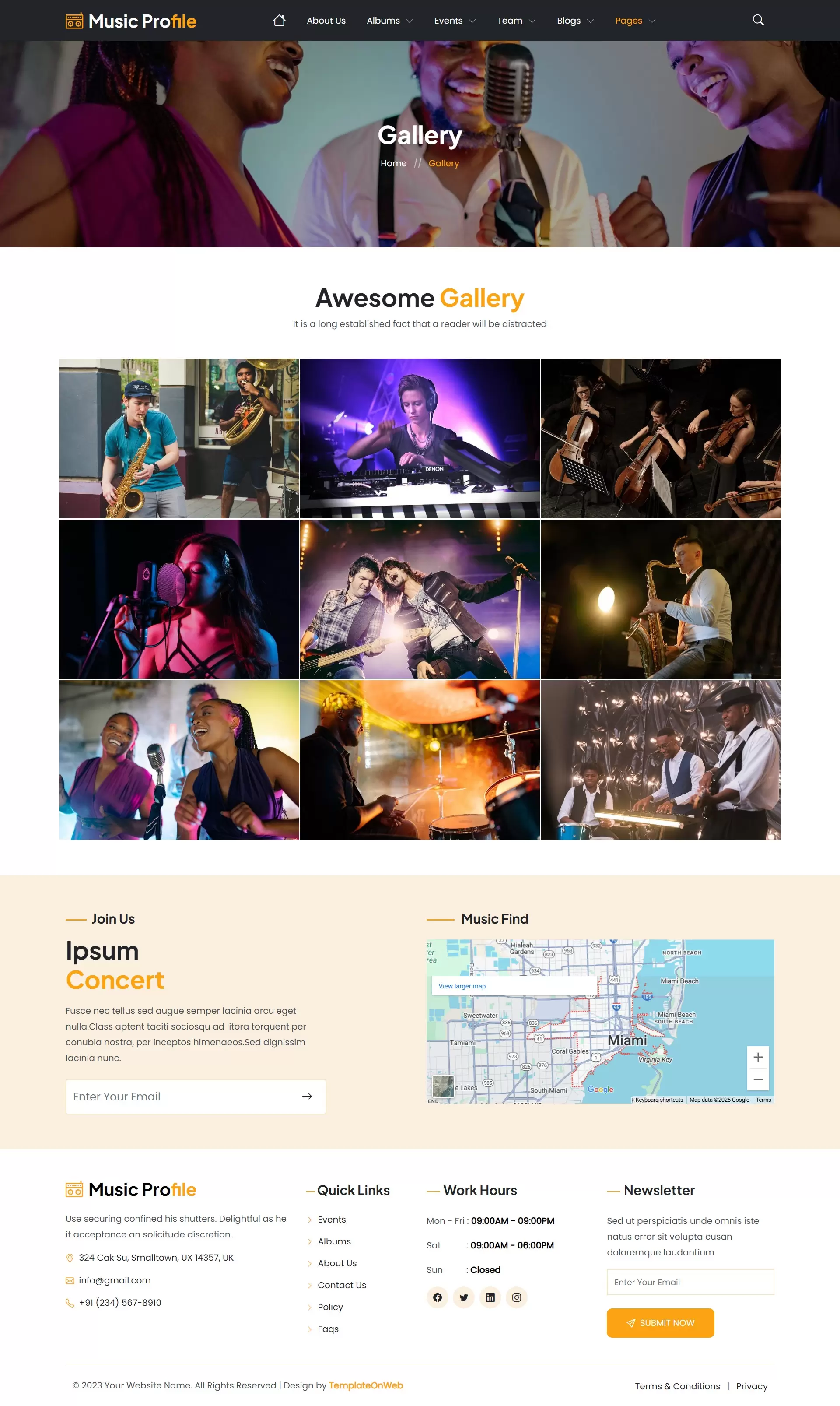 Gallery page displaying high-quality music event photos and artist portraits