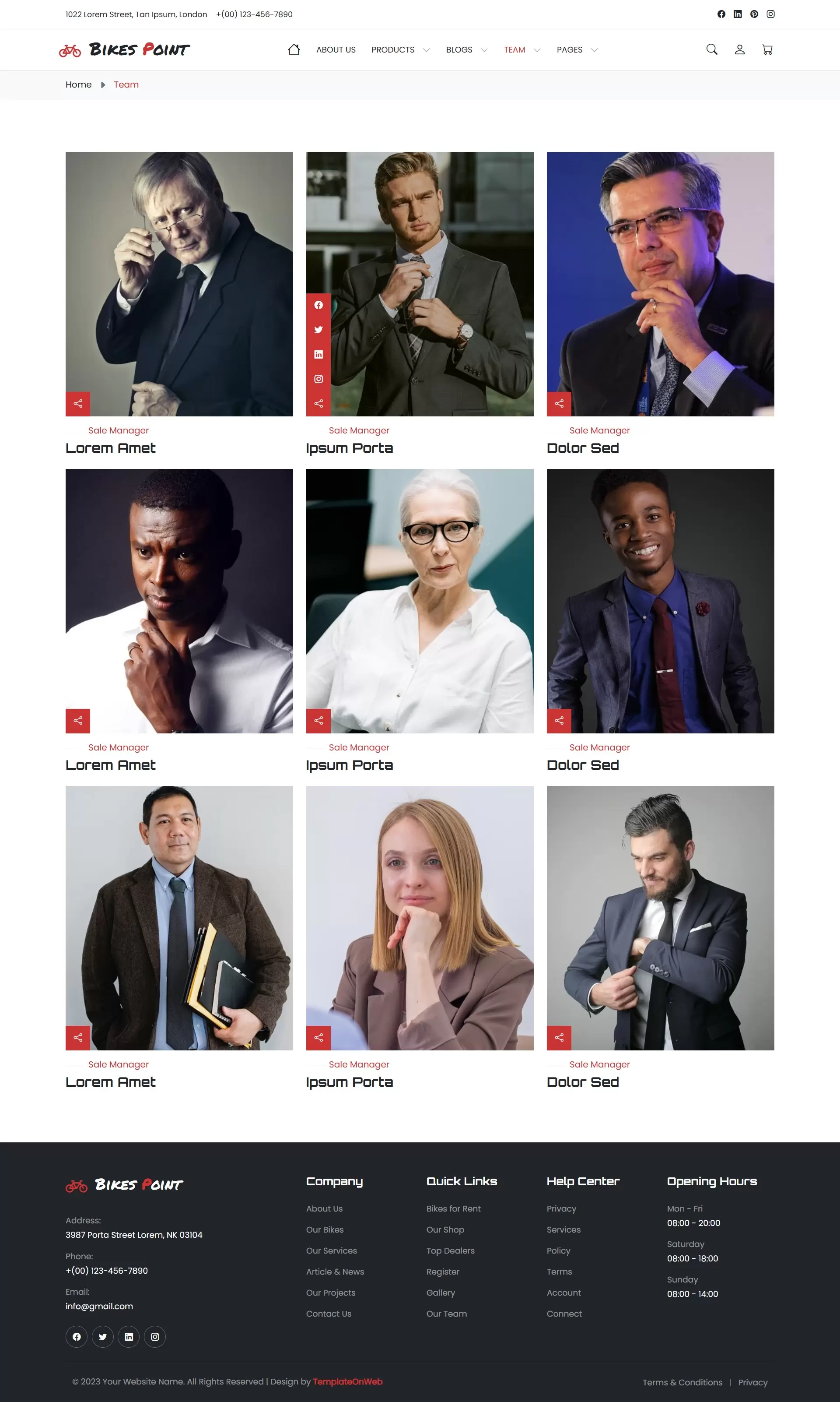 Meet our professional team