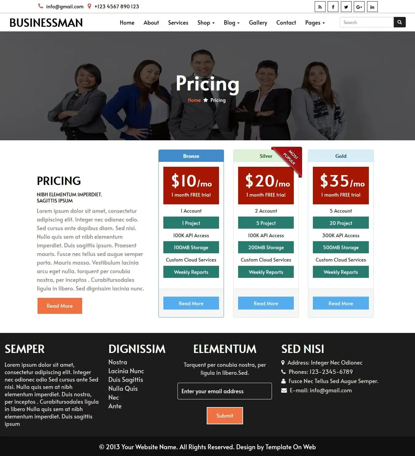 Business subscription price page html