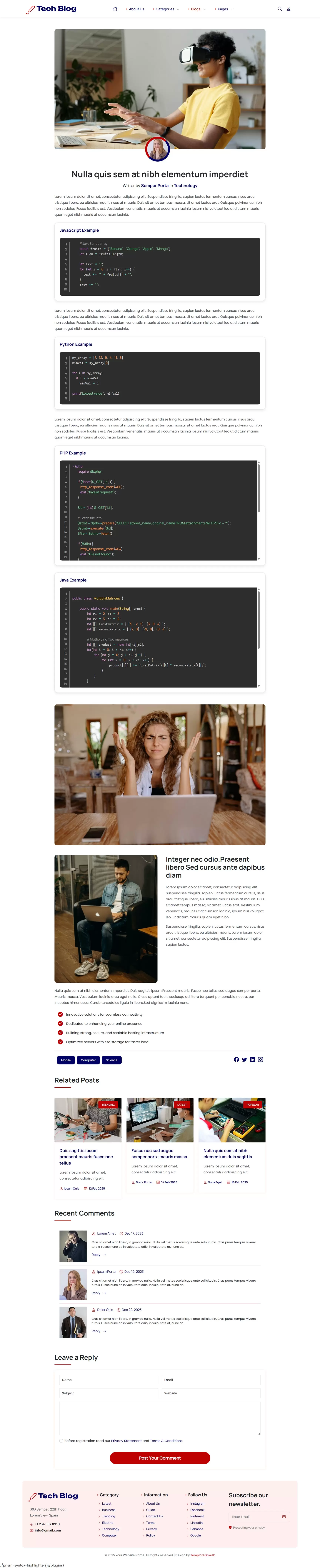 Technical blog template article page with code snippet highlighting, comments section and social sharing