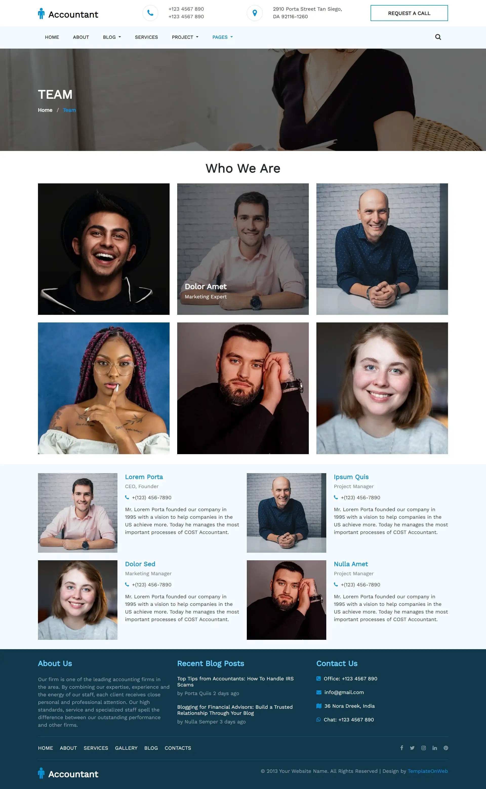 Accountant business team page html