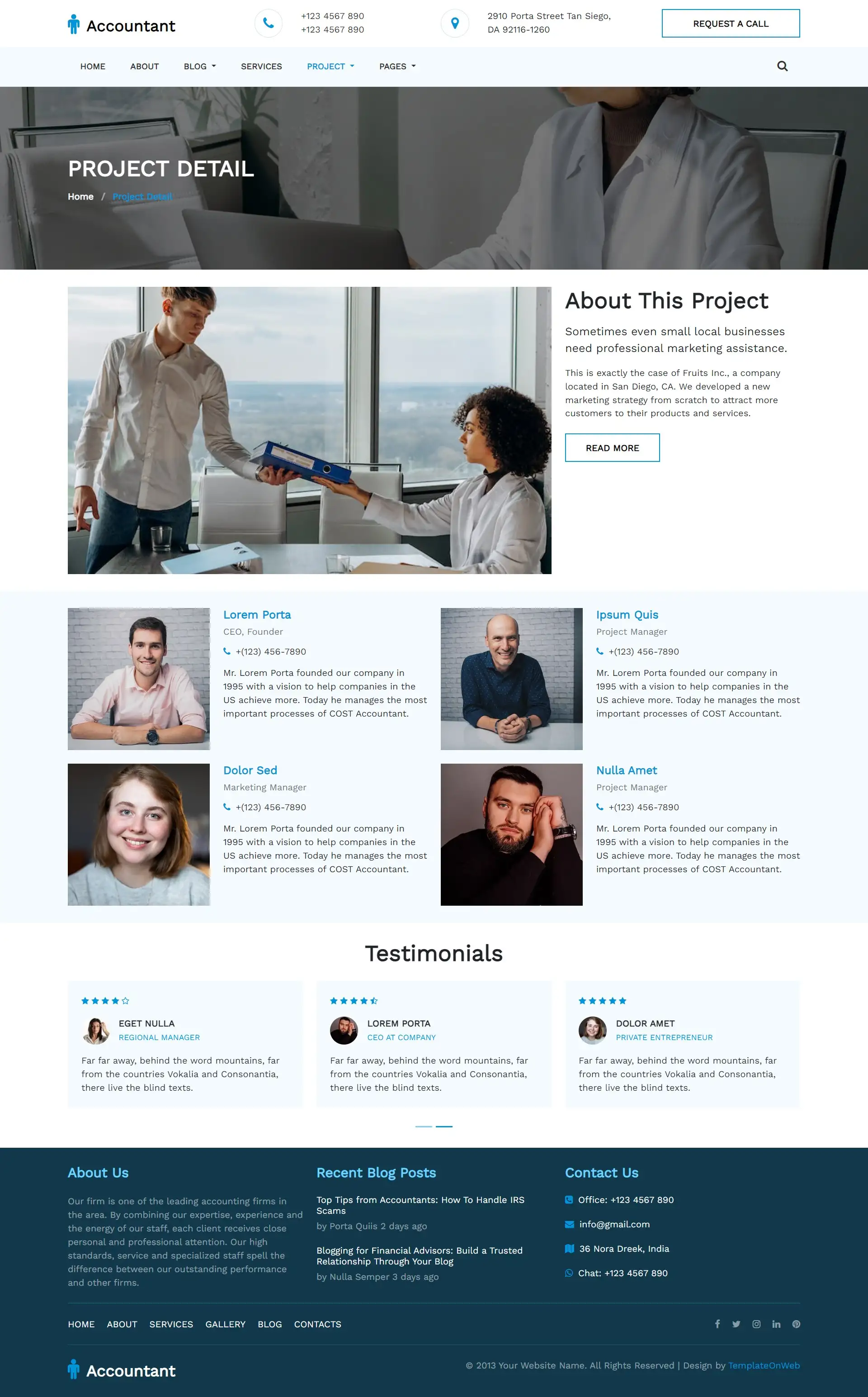 Accountant project details page web design