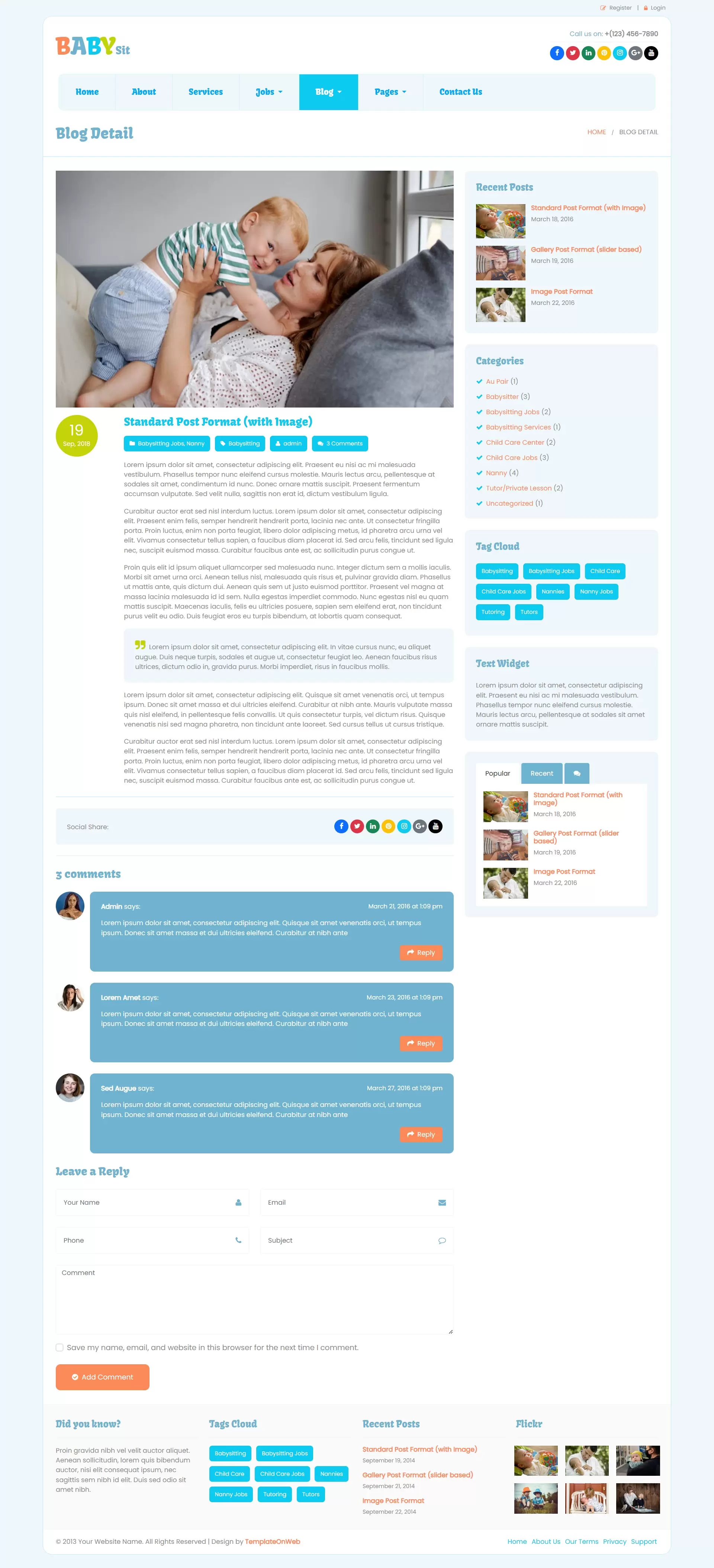 Baby sitter blogs and tips details page