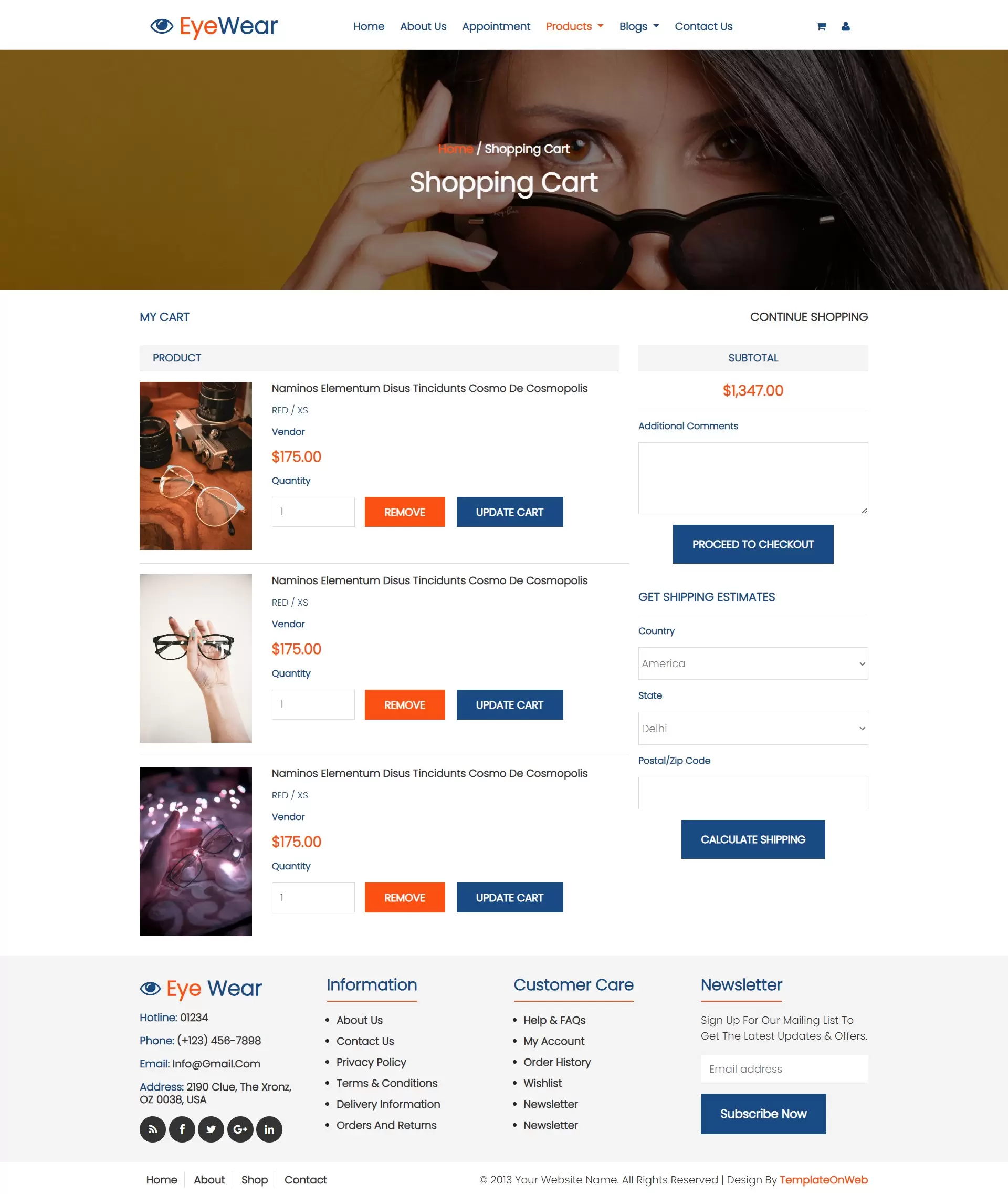 Shopping cart page display selected eyewears with update cart option