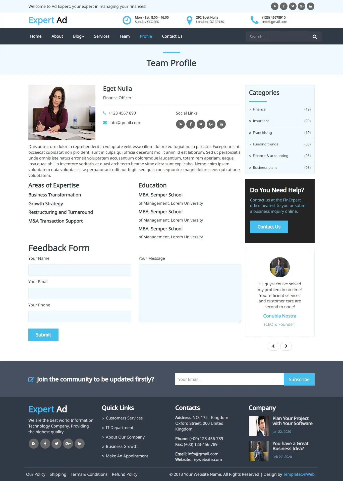 Business consultant profile