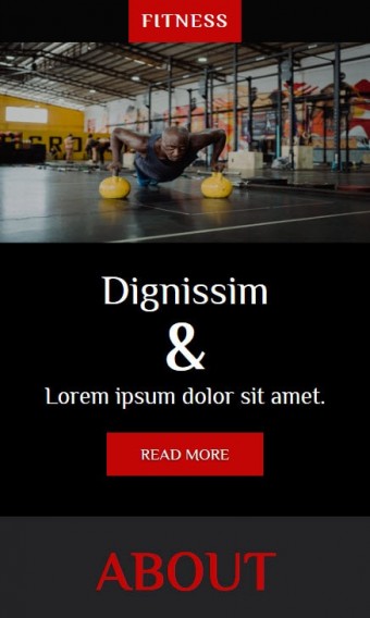 Fitness mobile website template responsive