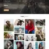 Show off your best work, masonry grid, and lightbox functionality to view larger photos