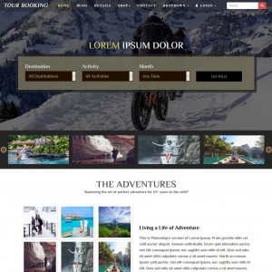 Online booking website template home page