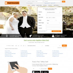 matrimonial website business plan