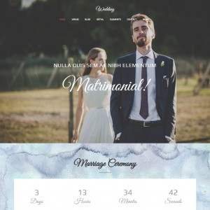 Online Wedding Function Home Page