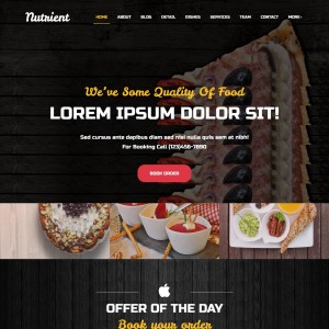 Food Delivery Responsive Home Page