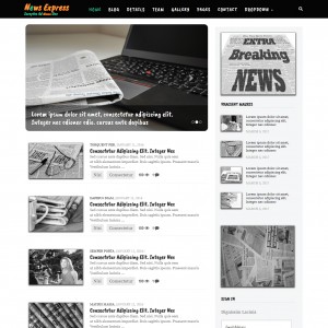 website templates