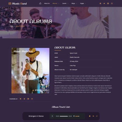 Embedded music player to stream DJ full album