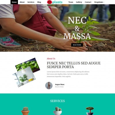 Plant nursery website template home page