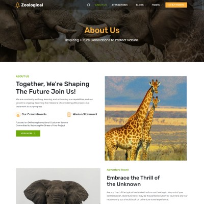 About Us page template for a Wild Safari Company