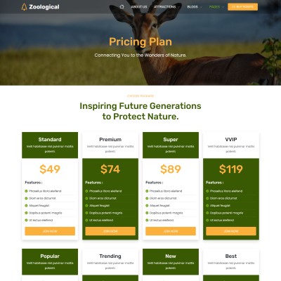 Price chart for different jungle safari tour packages