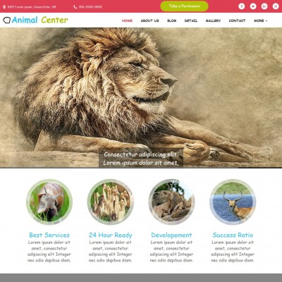 Wildlife website template home page design