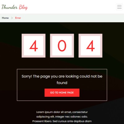 Custom 404 error page design for News Blog Website Template