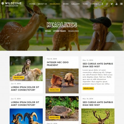 Forest web template news page free download