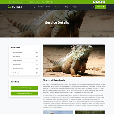 Clean and responsive design of the service details page