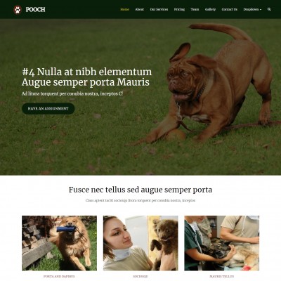 Petdog home page