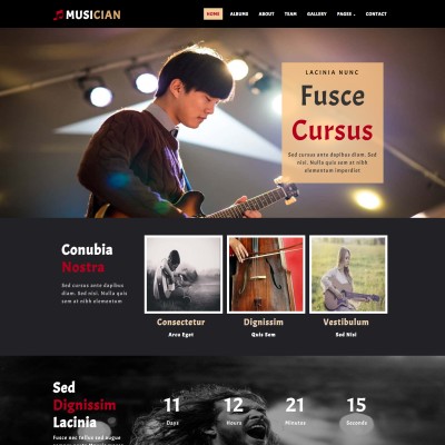 Musician website template home