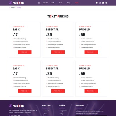 Responsive pricing table for musician website services
