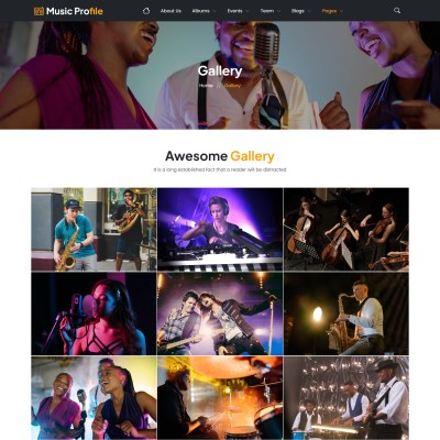 Gallery page displaying high-quality music event photos and artist portraits