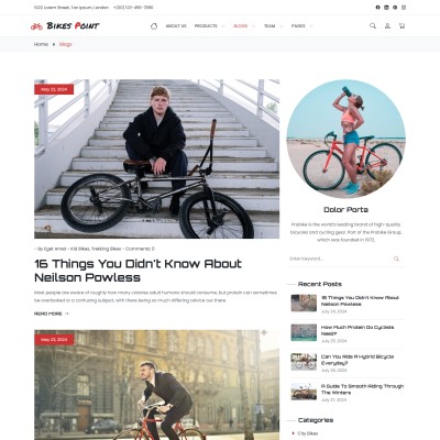 Preview of latest blog articles