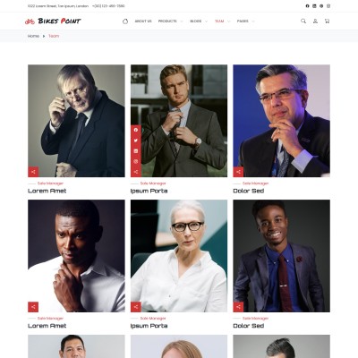 Meet our professional team