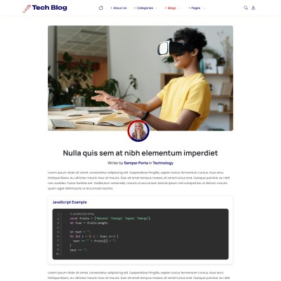 Technical blog template article page with code snippet highlighting, comments section and social sharing