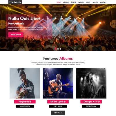 Music artist website template home