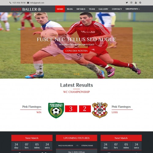 Football website template free home