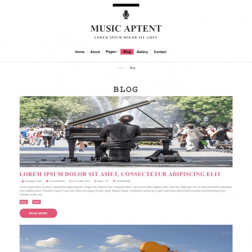 Music website blogs page template