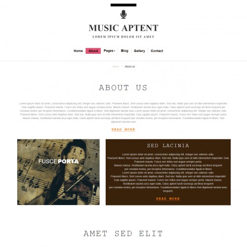 Music mania about us responsive website page