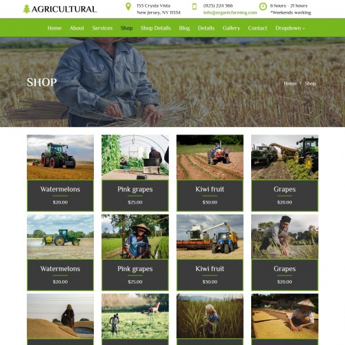 Agriculture products listing page free download