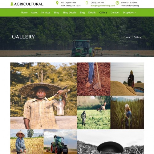 Cultivating the soil, growing crops products gallery